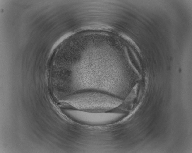 X0000081391114200702020248