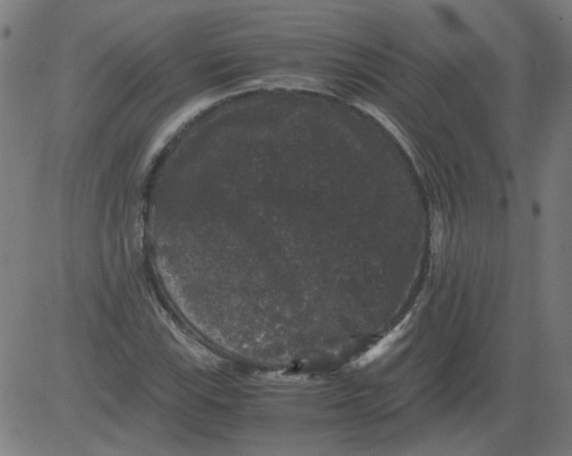 X0000081391115200702020248