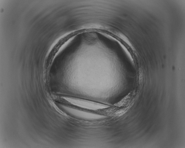 X0000081391116200702020248