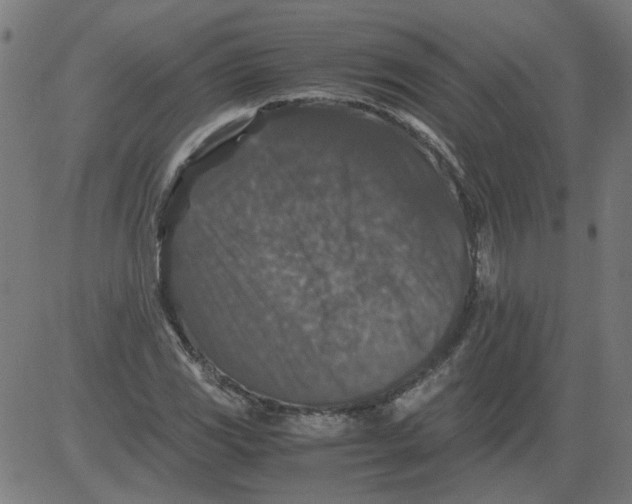 X0000081391117200702020248