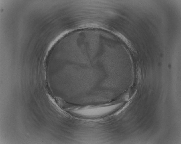 X0000081391118200702020248