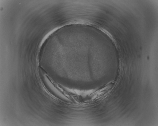 X0000081391120200702020248