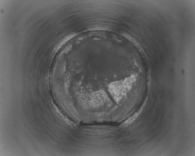 X0000081391121200702020248