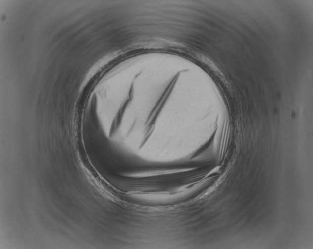 X0000081391122200702020248