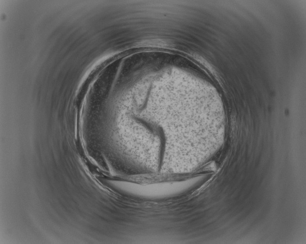 X0000081391123200702020248