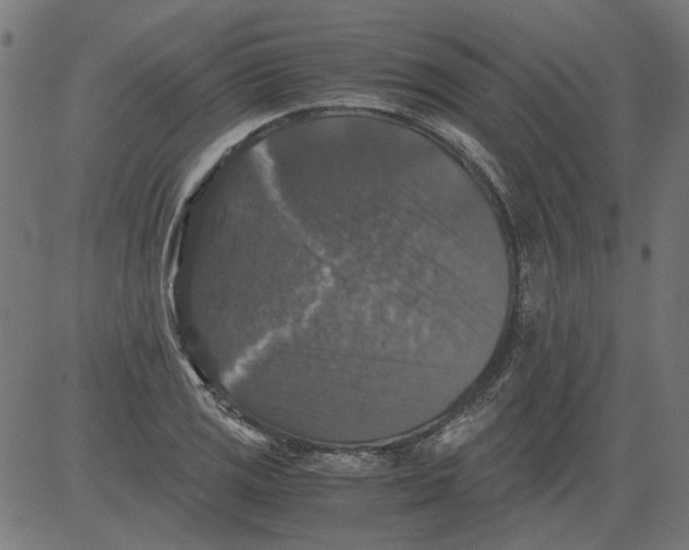 X0000081391125200702020248