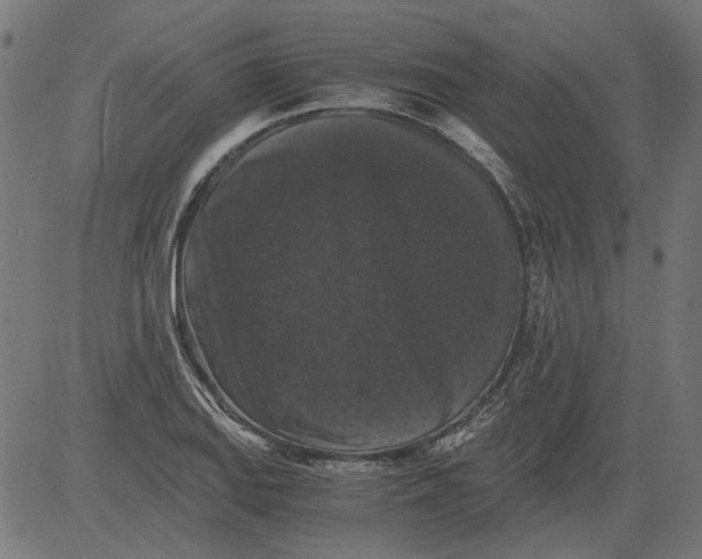 X0000081391127200702020248