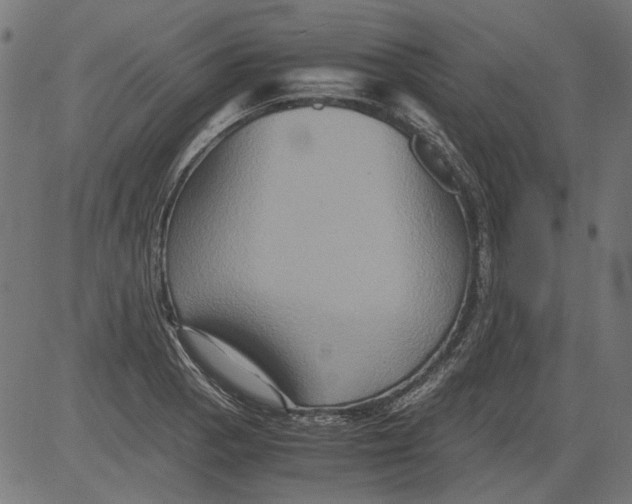 X0000081391129200702020248