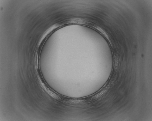 X0000081391131200702020248