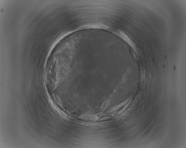 X0000081391132200702020248