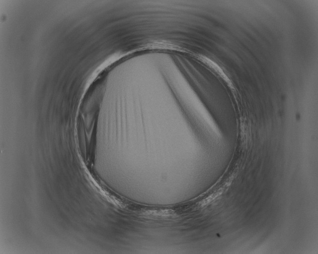 X0000081391133200702020249