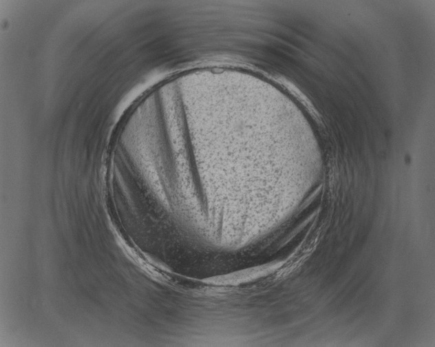 X0000081391134200702020249