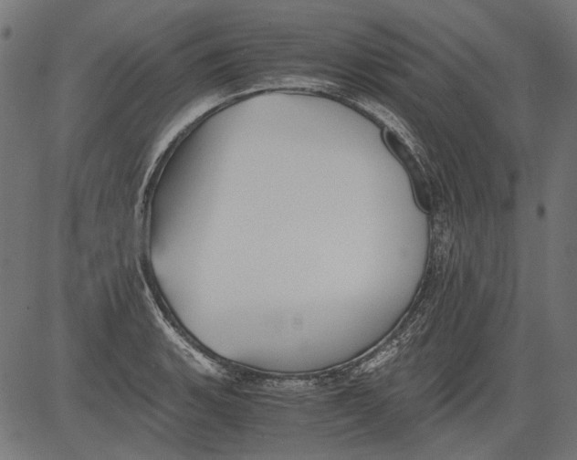 X0000081391135200702020249