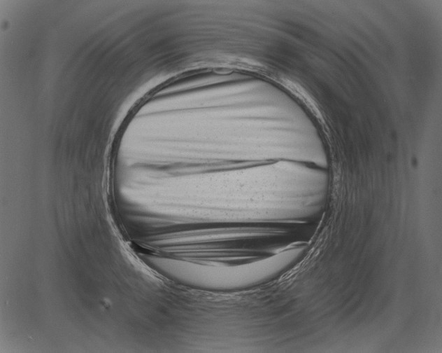 X0000081391136200702020249