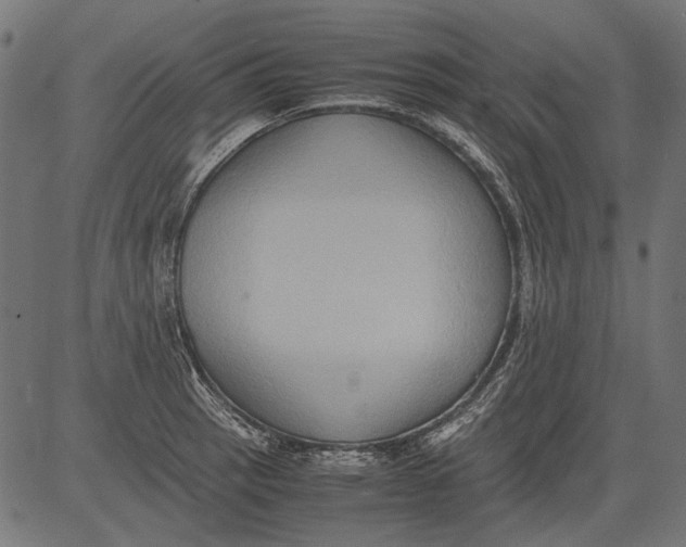 X0000081391137200702020249