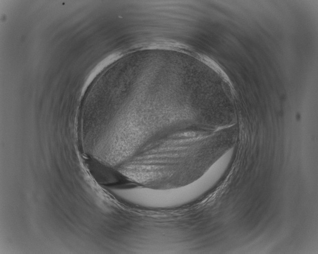 X0000081391138200702020249