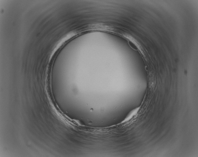 X0000081391139200702020249