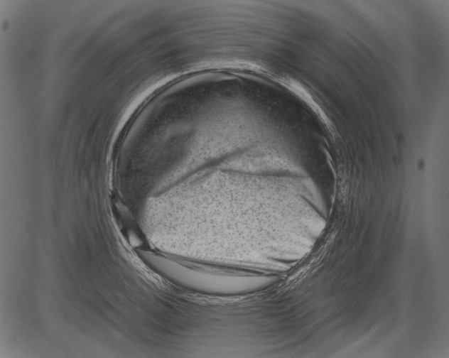 X0000081391140200702020249