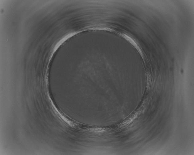 X0000081391141200702020249