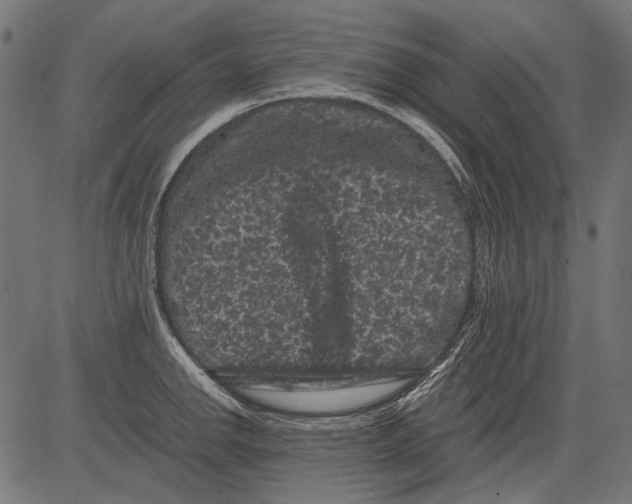 X0000081391142200702020249