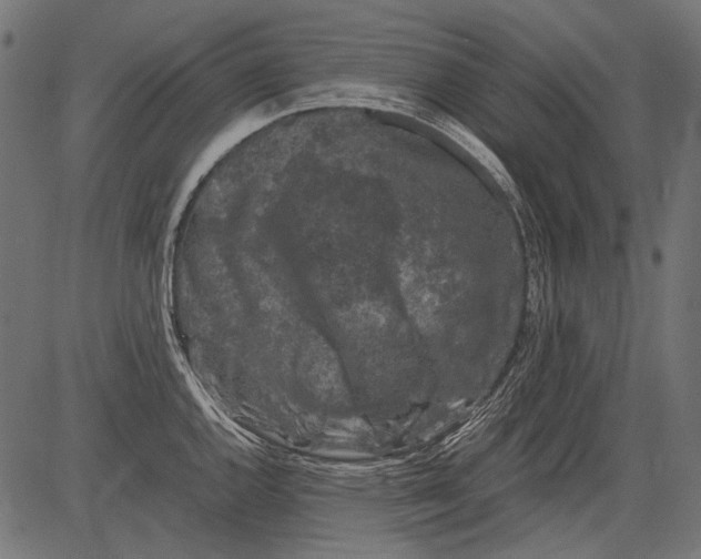 X0000081391144200702020249