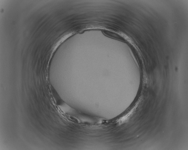 X0000081391145200702020249