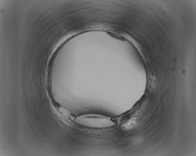 X0000081391147200702020249