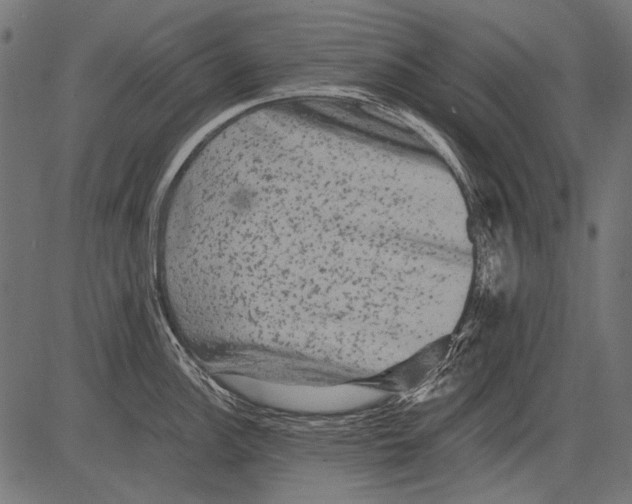 X0000081391148200702020249