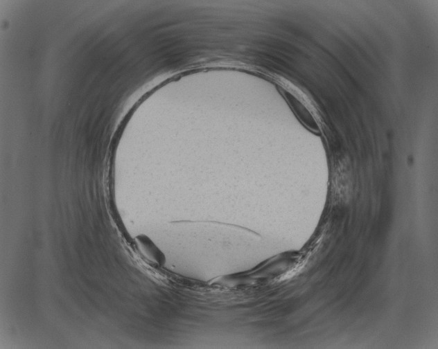 X0000081391149200702020249