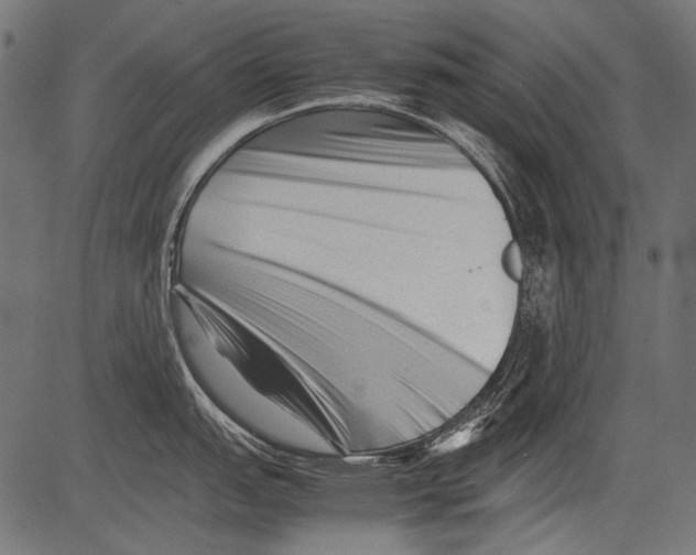 X0000081391151200702020249