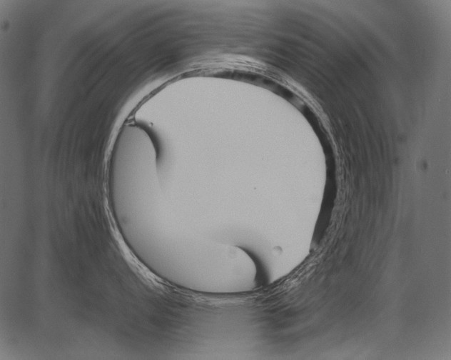 X0000081391152200702020249