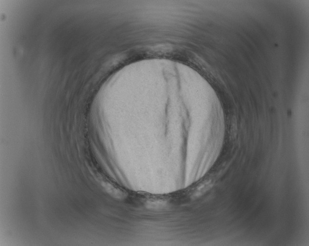 X0000081391153200702020248