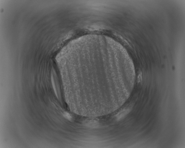 X0000081391156200702020248