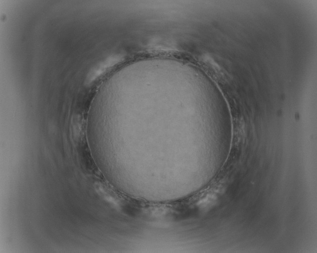 X0000081391157200702020248