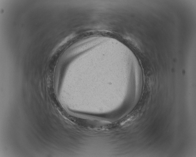 X0000081391159200702020248