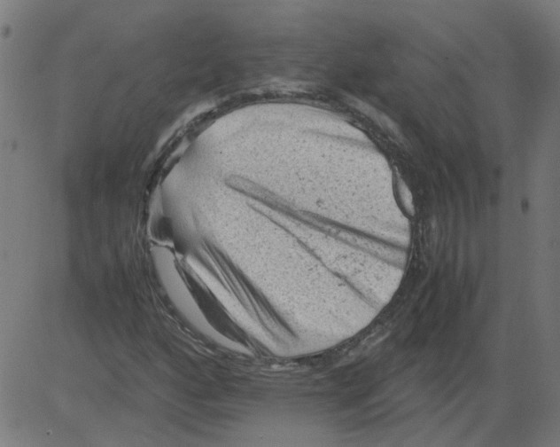 X0000081391160200702020248