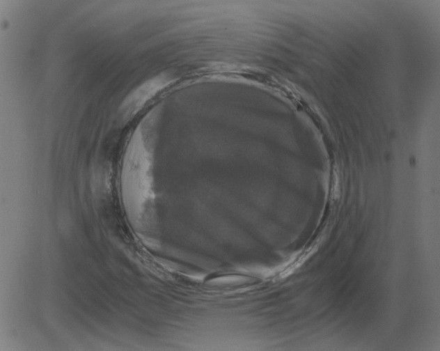 X0000081391161200702020248