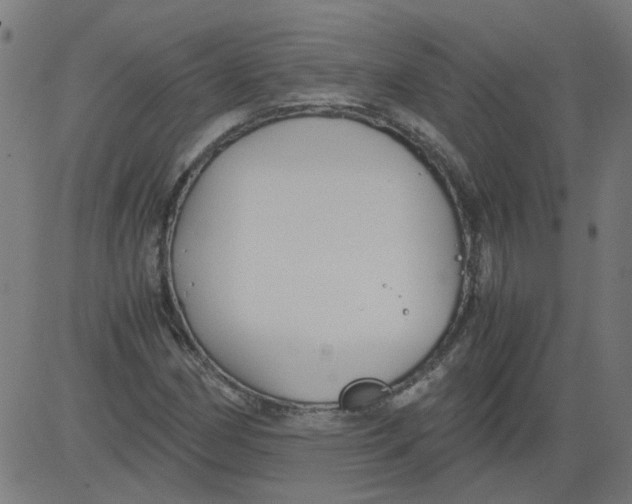 X0000081391162200702020248