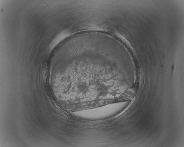 X0000081391163200702020248