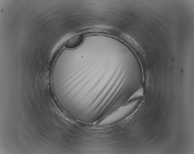 X0000081391164200702020248