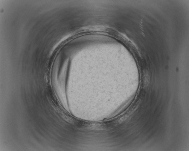 X0000081391166200702020248