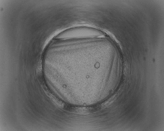 X0000081391167200702020248