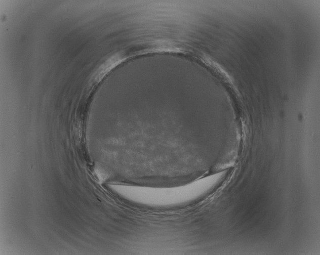 X0000081391169200702020248