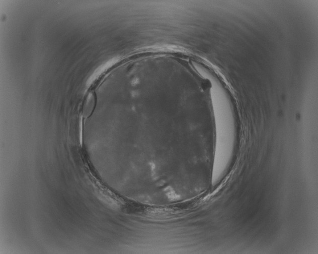 X0000081391171200702020248