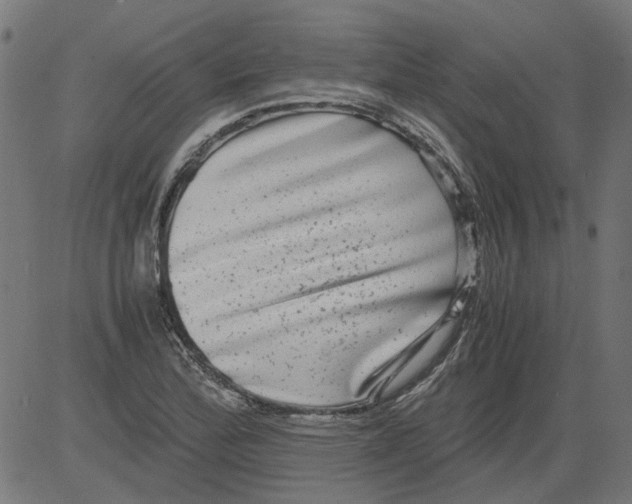 X0000081391172200702020248