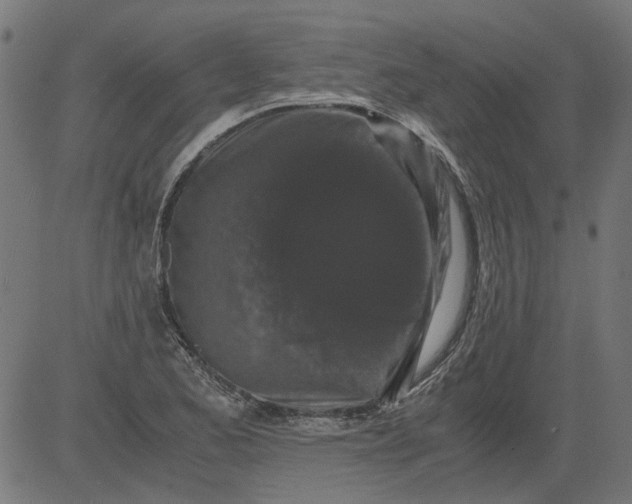 X0000081391173200702020248