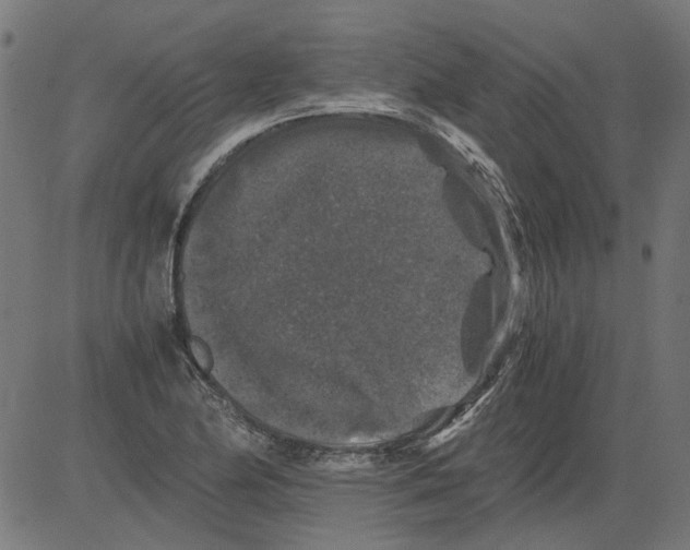 X0000081391174200702020248