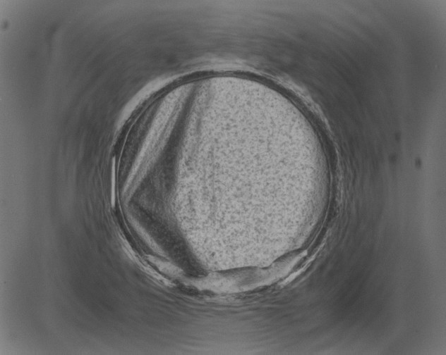 X0000081391175200702020248