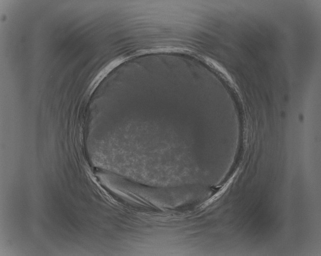 X0000081391177200702020248