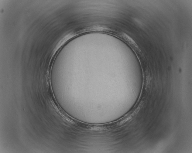 X0000081391178200702020248